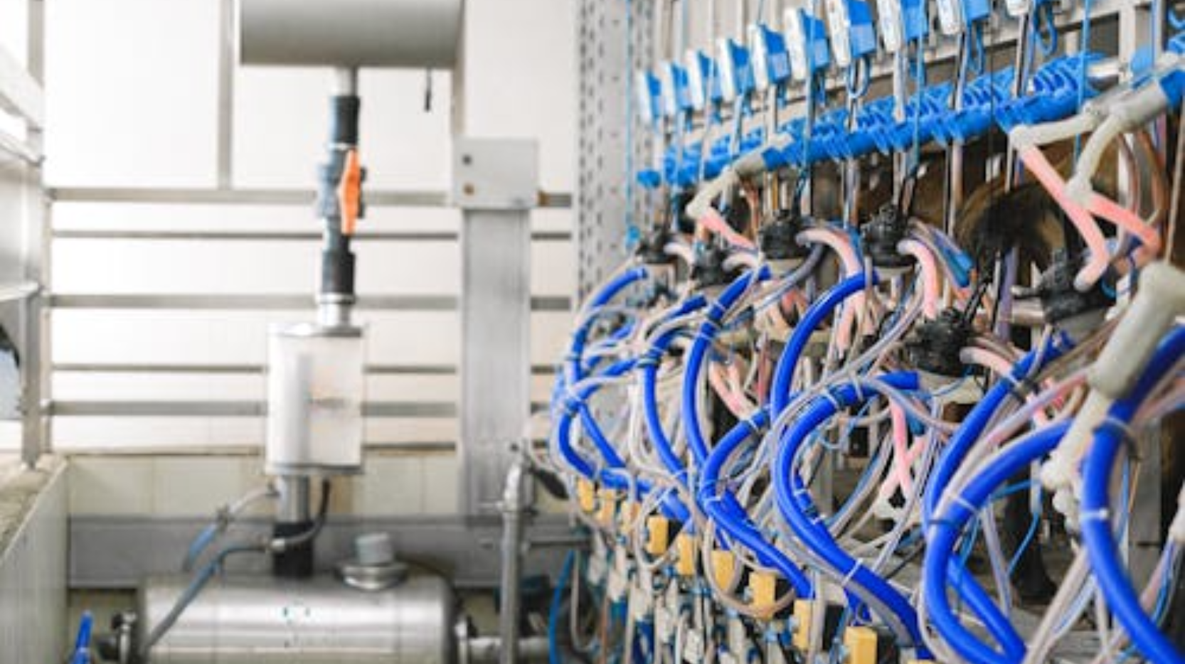 Otomatisasi AI untuk Bisnis Anda